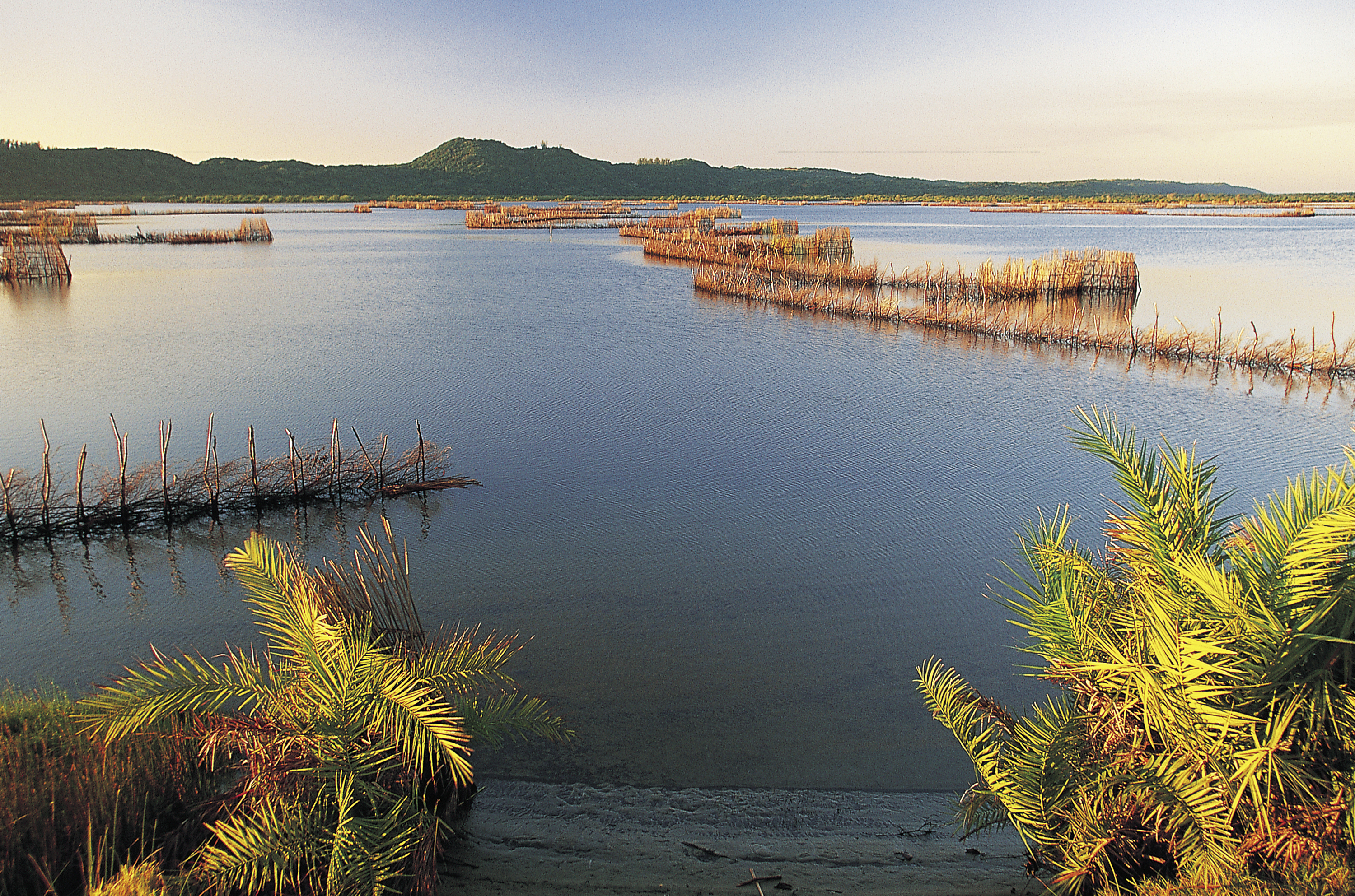 Kosi Bay fishing traps - photograph by Guy Upfold