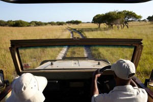 Kosi Bay Nature Reserve - Kosi Forest Lodge