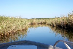 Kosi Bay Nature Reserve - Kosi Forest Lodge