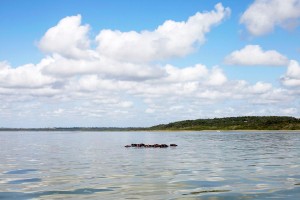 Kosi Bay Nature Reserve - Kosi Forest Lodge