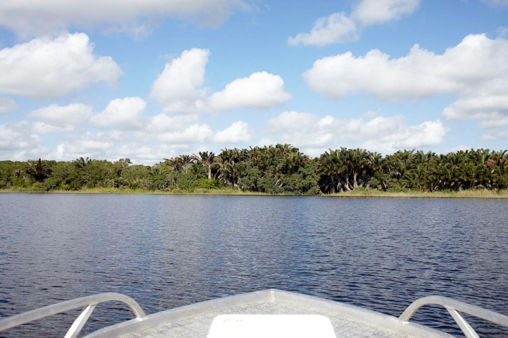 Kosi Bay Nature Reserve - Kosi Forest Lodge