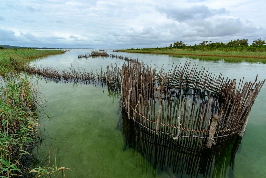 Famous Fish Traps of Kosi Bay Kosi Forest LodgeKosi Forest Lodge