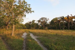 Kosi Bay Nature Reserve - Kosi Forest Lodge