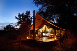 Follow the golden light at Plains Tented Camp in the Kruger National Park