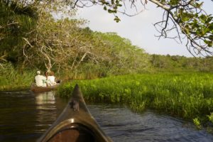 Do take an early morning canoe outing from Kosi Forest Lodge