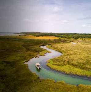 Kosi Forest Lodge