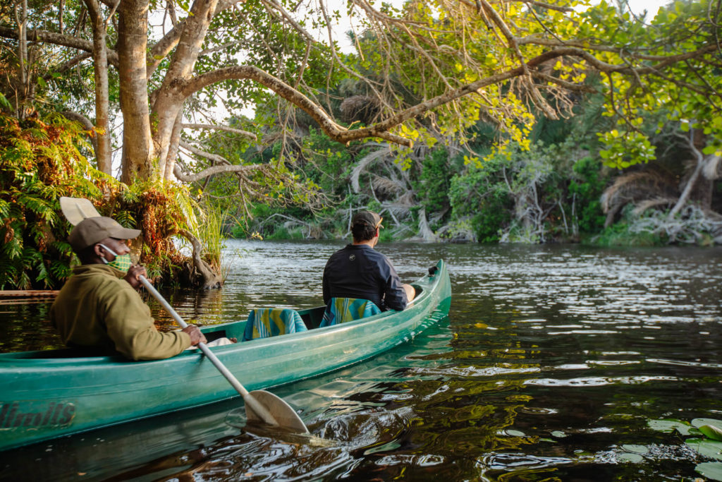 KosiForestLodge_Experiences_Canoeing02 KosiForestLodge_Experiences_Canoeing02