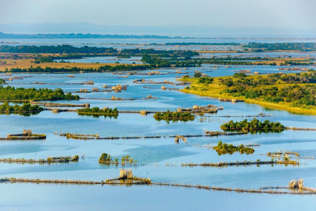 KosiForestLodge_Experiences_KosiMouth_Fish-Traps-Banner KosiForestLodge_Experiences_KosiMouth_Fish-Traps-Banner