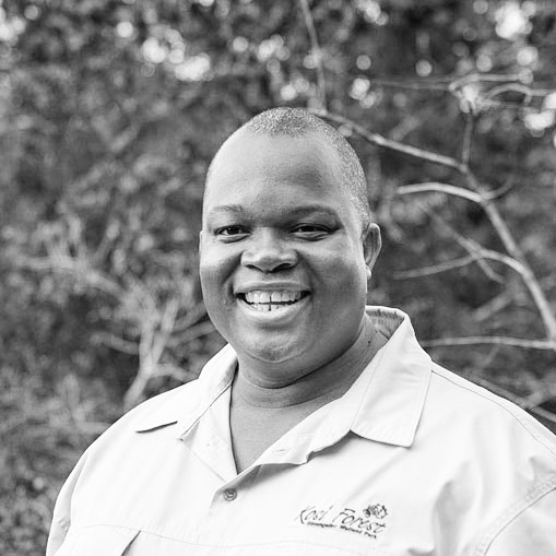 Blessing Mngomezulu