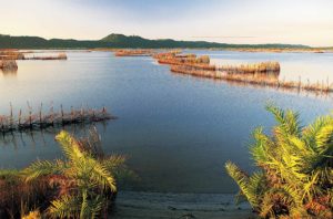 Boat Trips on the Lake at Kosi Forest Lodge