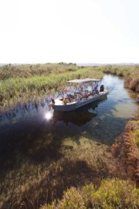 Boat Trips on the Lake at Kosi Forest Lodge