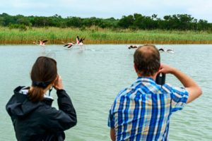 Boat Trips on the Lake at Kosi Forest Lodge