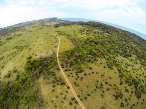 Kosi Forest Lodge