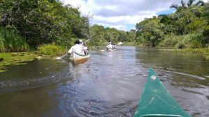 Canoeing at Kosi Forest Lodge