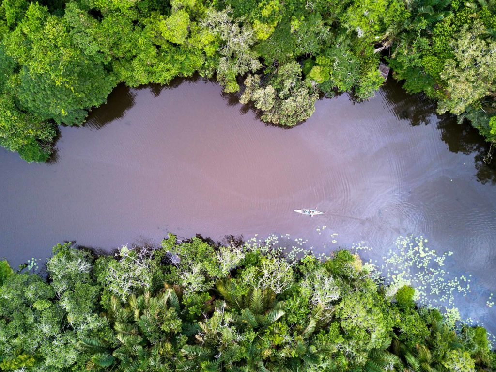 KFL-Canoe-with-raffia-forest---taken-from-high-by-Teagan-Cunniffe Kosi Forest Lodge
