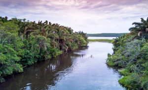 Kosi Forest Lodge