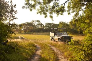 4X4 EXCURSION TO KOSI MOUTH