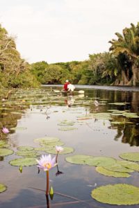 Canoeing at Kosi Forest Lodge