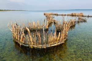 FAMOUS FISH TRAPS OF KOSI BAY