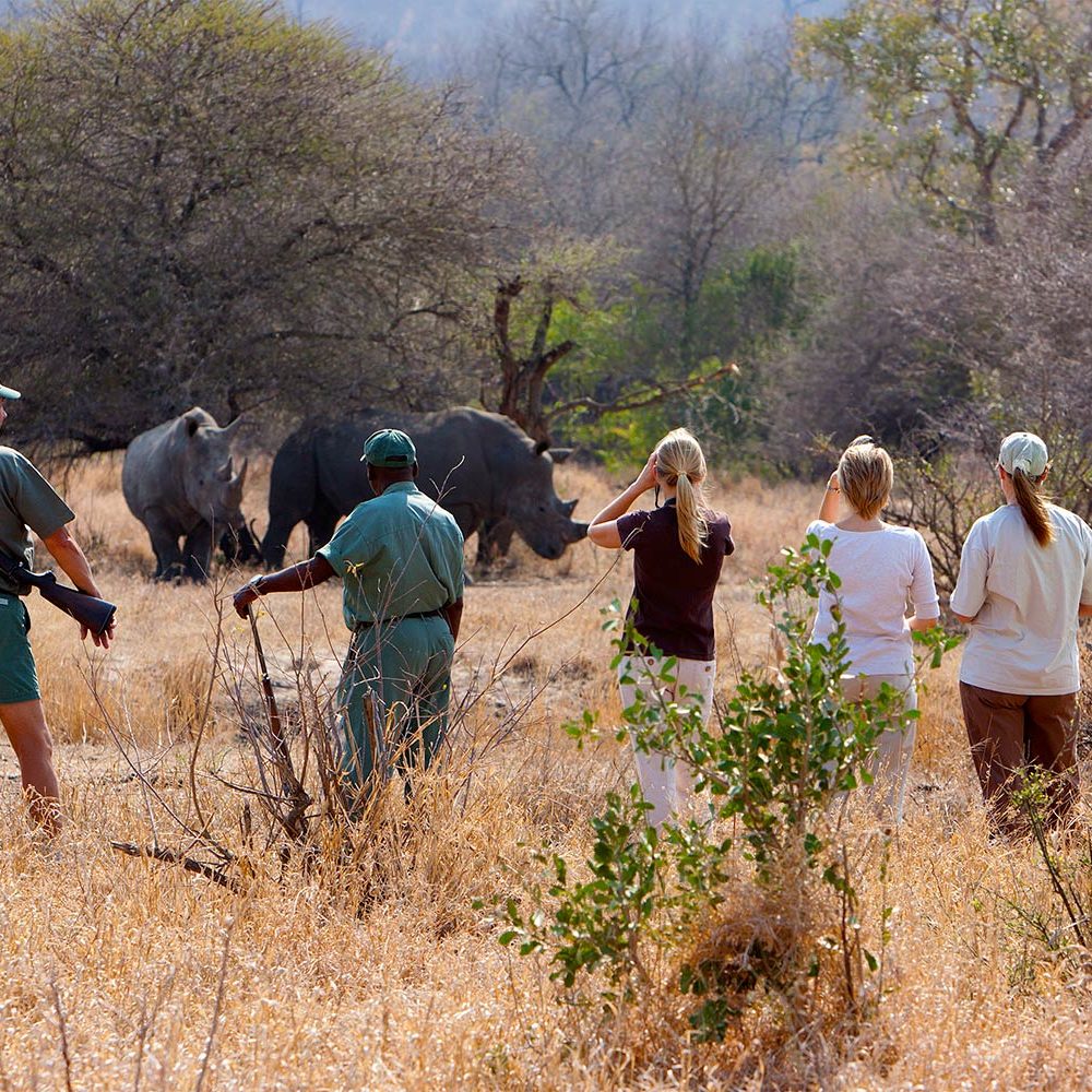 1 Walking with 2 highly trained & experienced armed rangers at all times