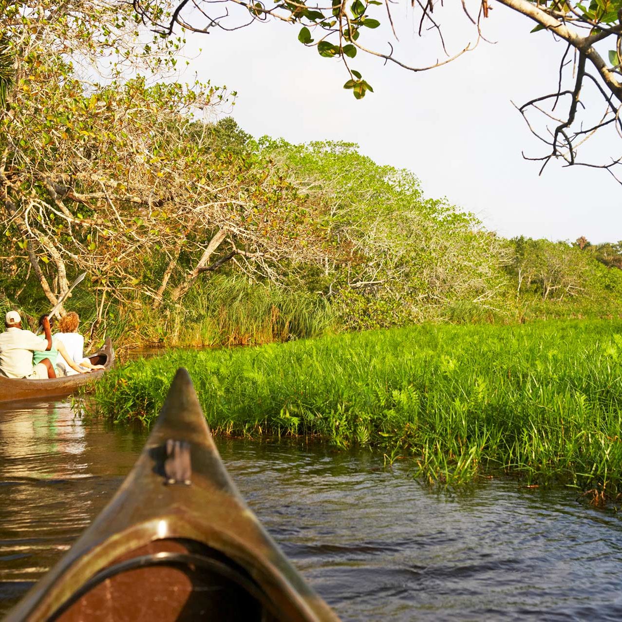 A Day at Kosi Canoeing at Kosi Forest Lodge