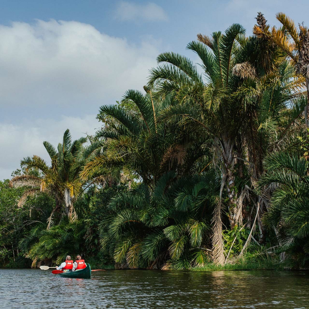 2020_KosiForest_byChantelleMelzer-1602_rs