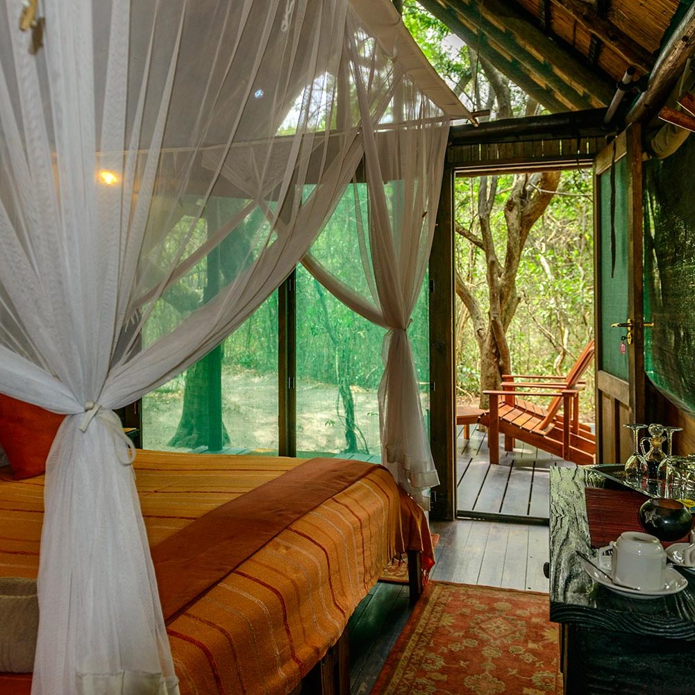 Kosi Forest Room