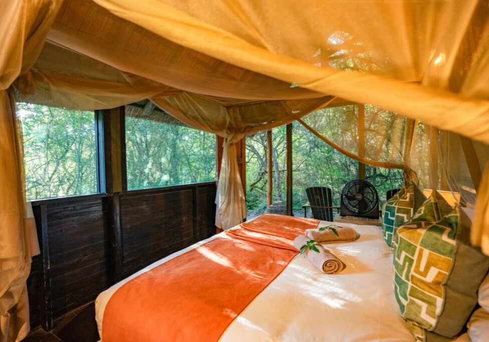 Kosi Forest Lodge Family Kids Room