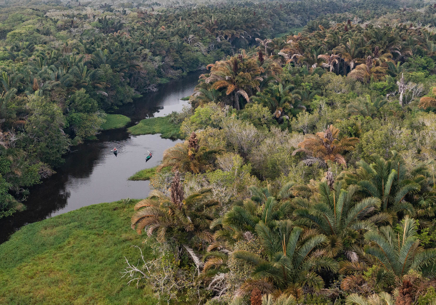 Canoeing and Raphia Forest