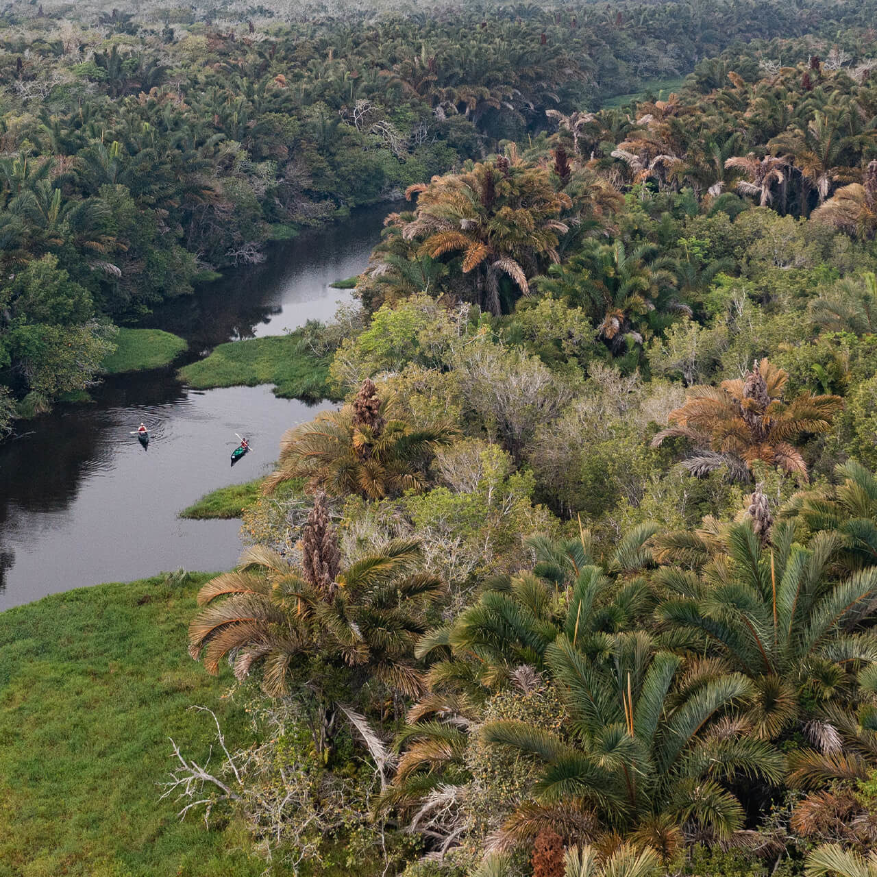 Canoeing and Raphia Forest