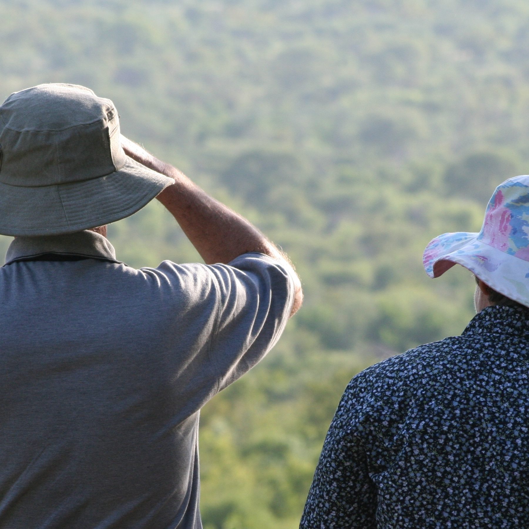 Game viewing in Kruger National Park