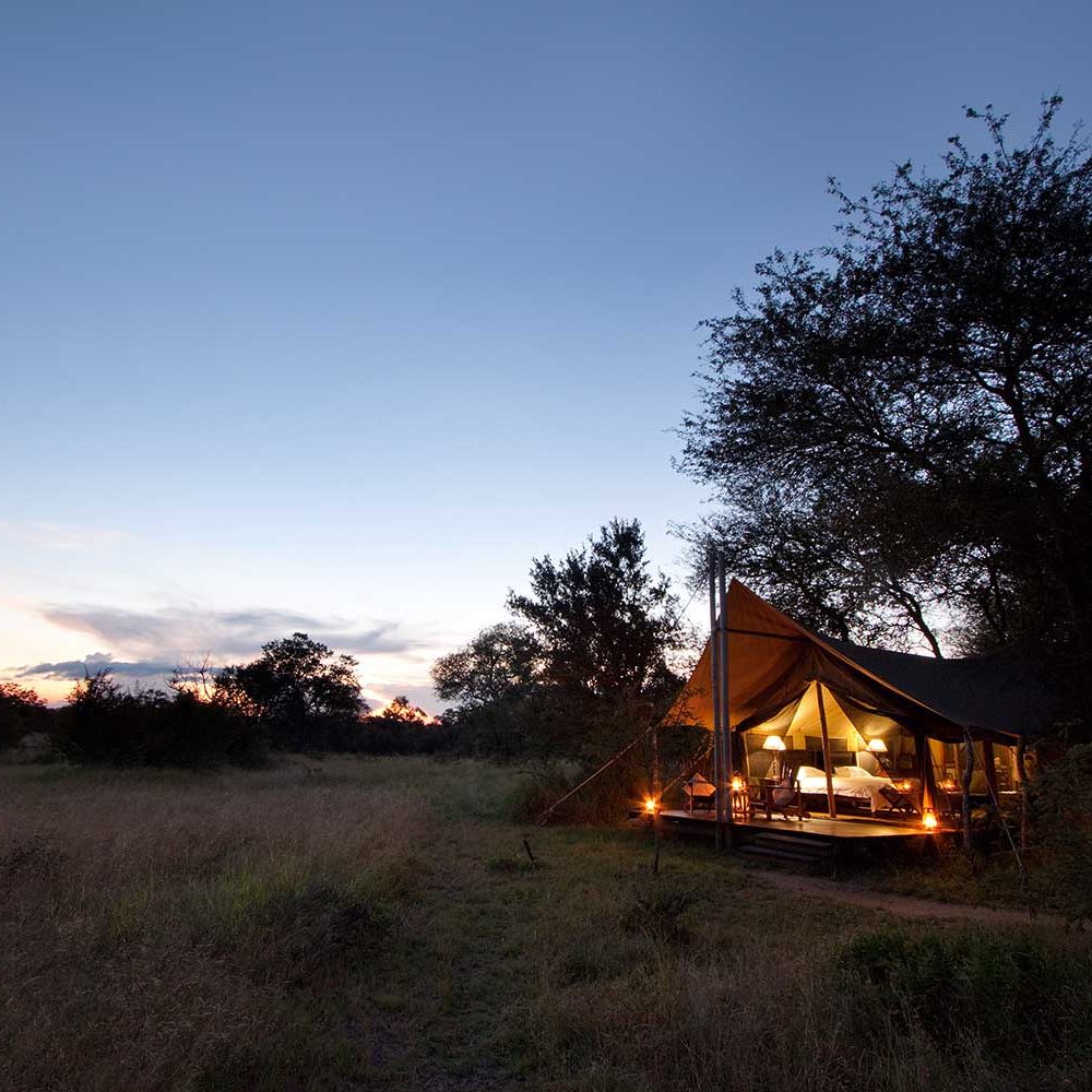 south Africa safari lodges