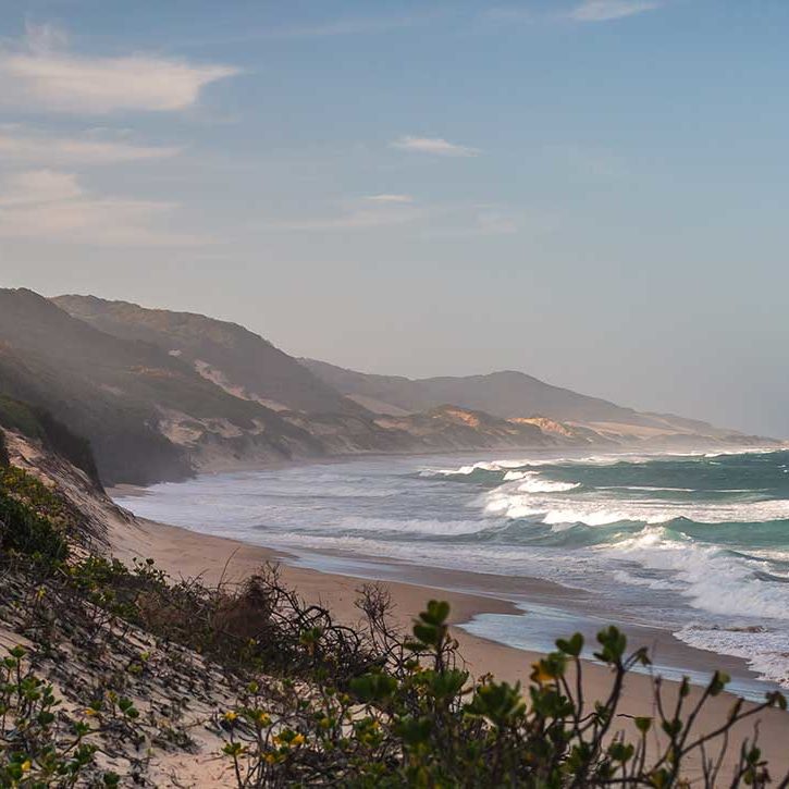 TBL-Dunes-and-Ocean TBL-Dunes-and-Ocean