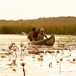 kosi-canoe kosi-canoe