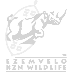 https://www.kosiforestlodge.co.za/wp-content/uploads/sites/15/2018/02/EZIMVELO-1.png