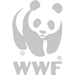 https://www.kosiforestlodge.co.za/wp-content/uploads/sites/15/2018/02/WWF-1.png